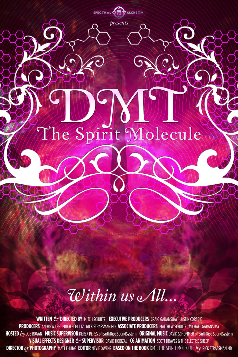 فيلم DMT: The Spirit Molecule