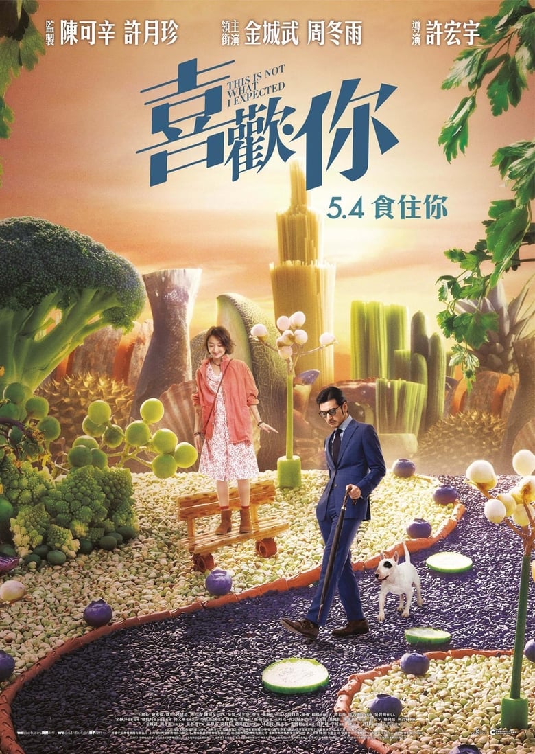 فيلم This Is Not What I Expected