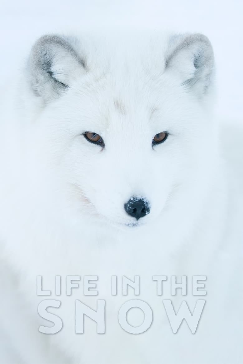 فيلم Life In The Snow