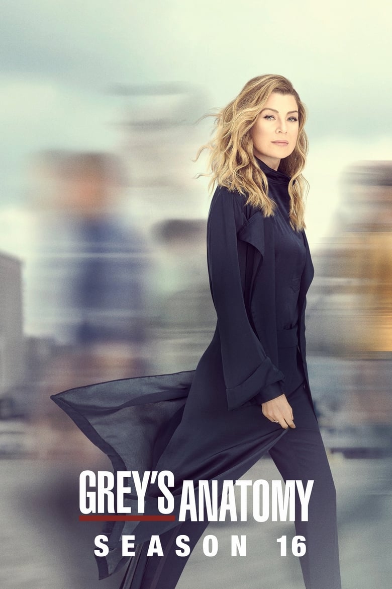 مسلسل Grey’s Anatomy الموسم السادس عشر مترجم
