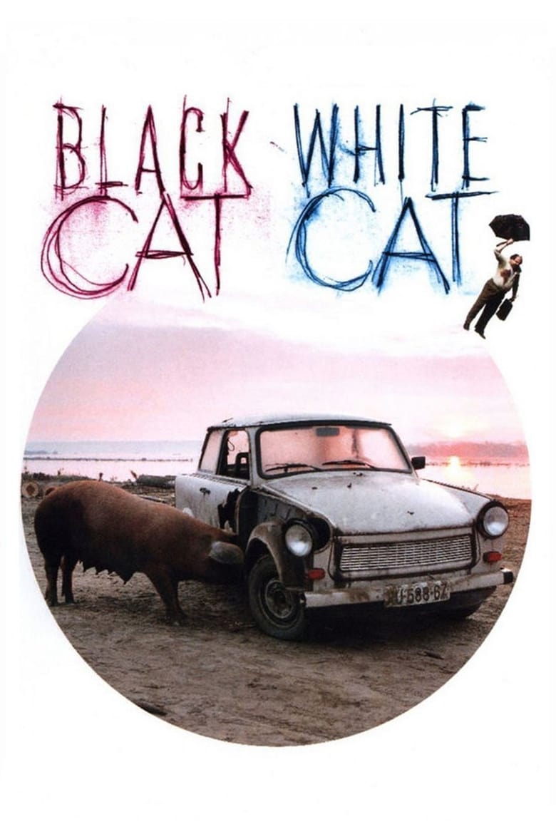 فيلم Black Cat, White Cat