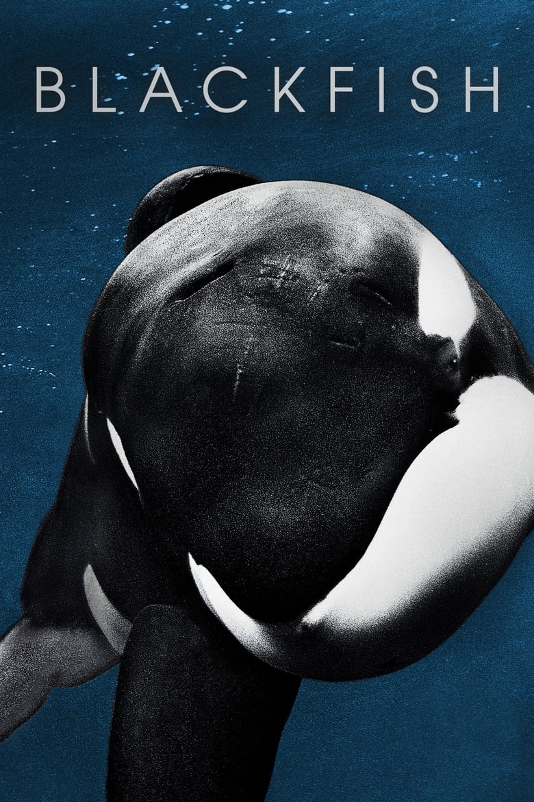 فيلم Blackfish