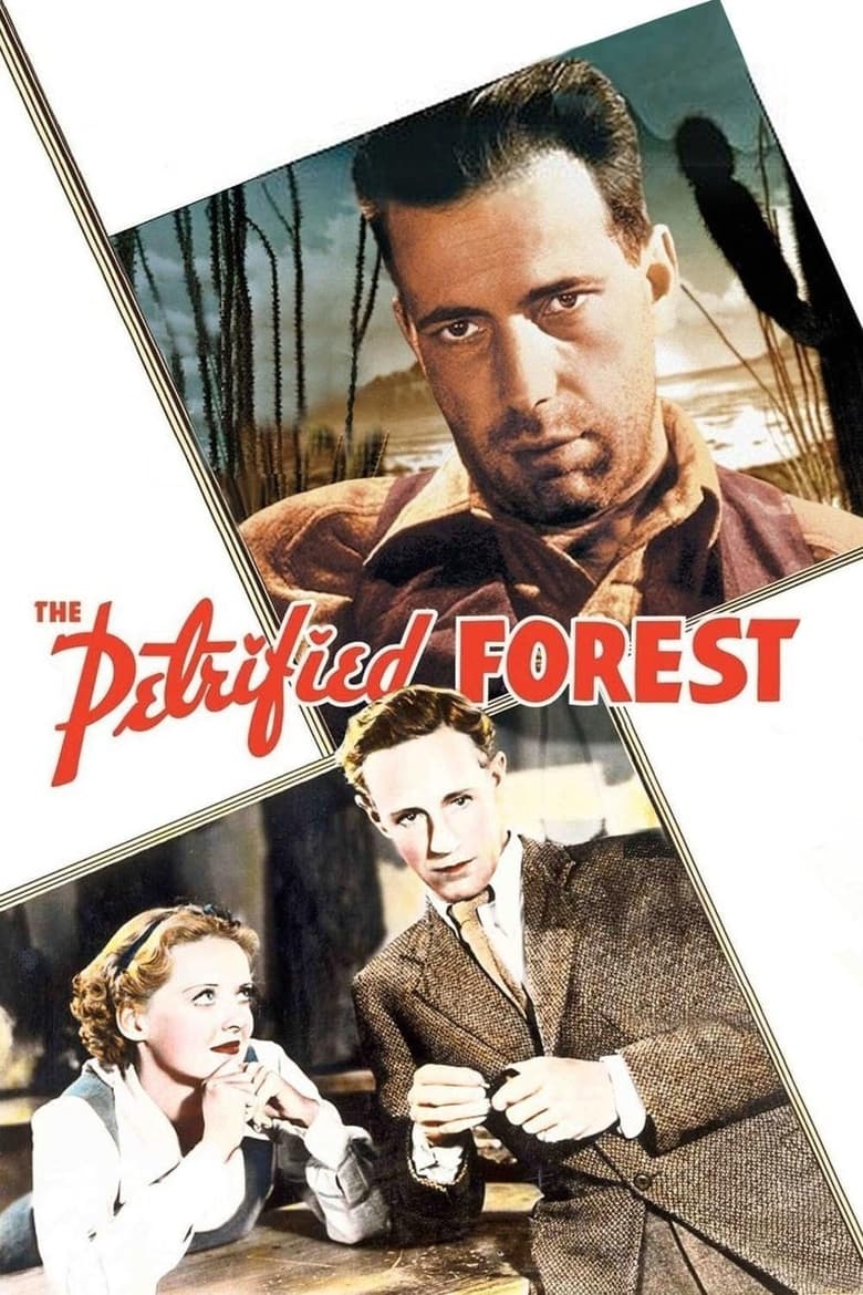 فيلم The Petrified Forest