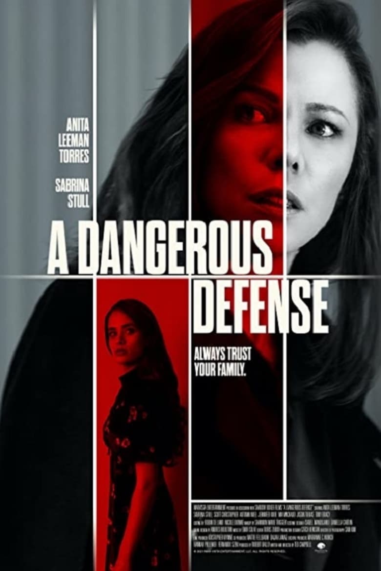 فيلم A Dangerous Defense