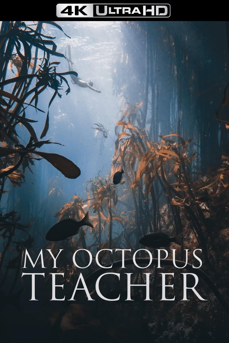 فيلم My Octopus Teacher