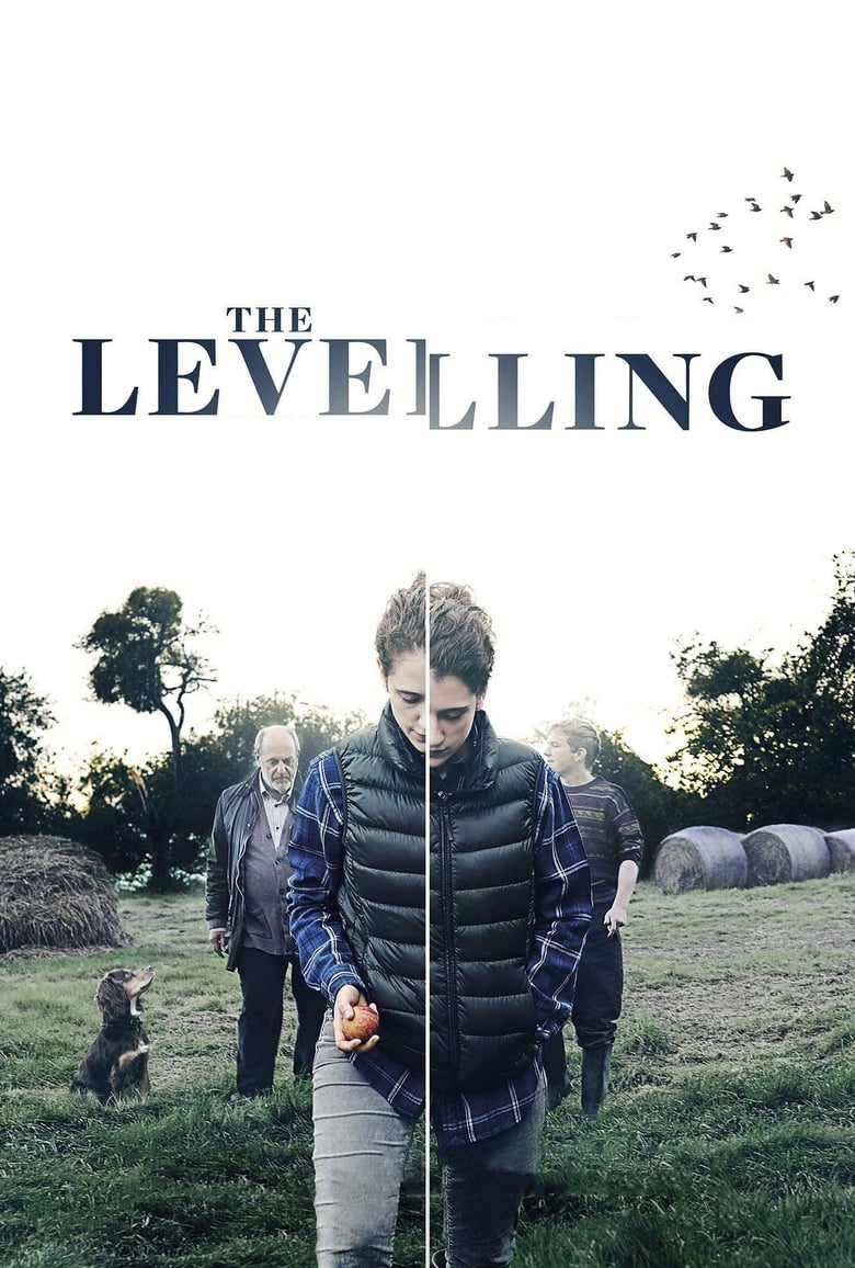 فيلم The Levelling
