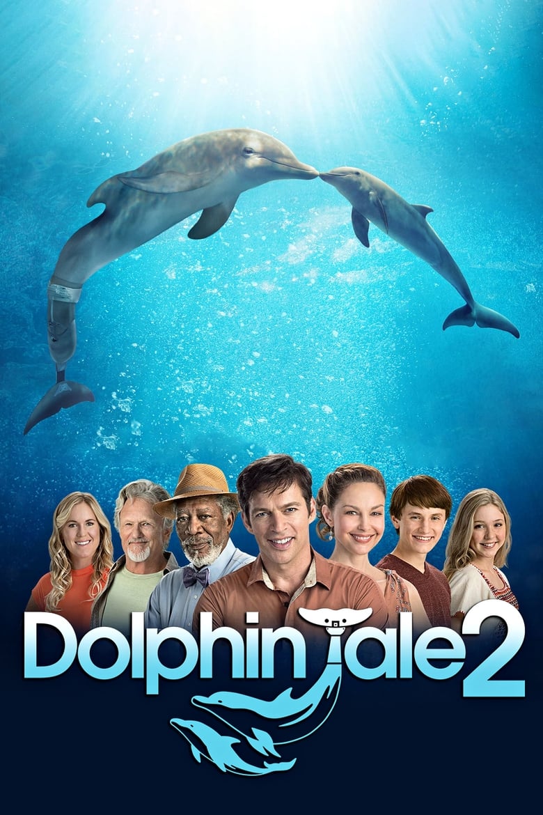 فيلم Dolphin Tale 2