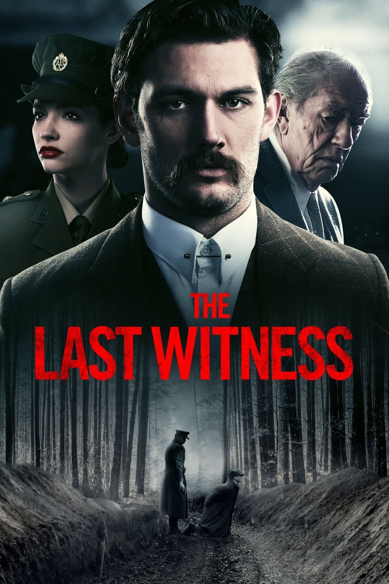 فيلم The Last Witness