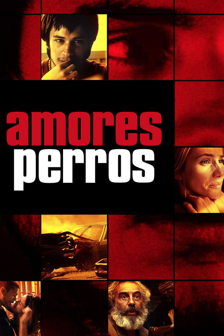 فيلم Amores Perros